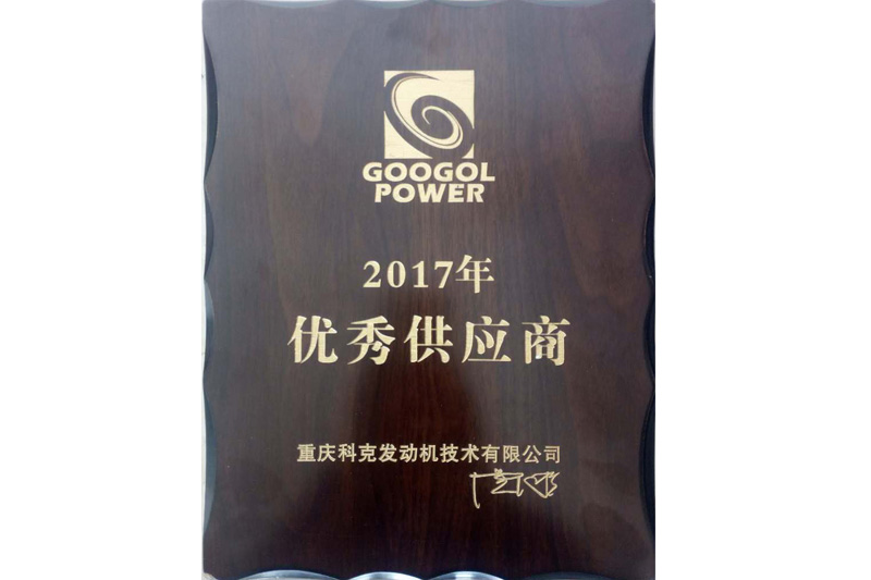 Excellent Supplier(Chongqing Googol Power-Tech，2017)