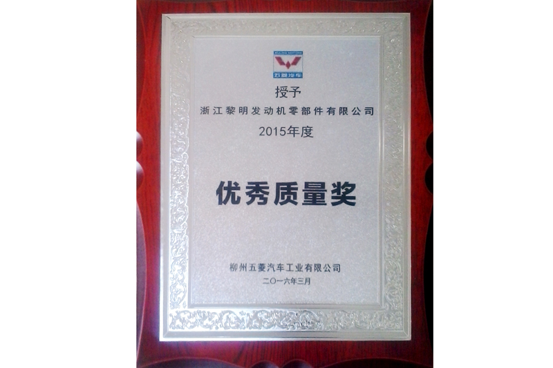 Excellent Quality Award (WULING, 2015)