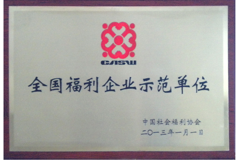 全國(guó)福利企業(yè)示范單位（2013）