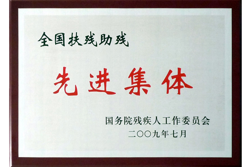 2009年全國障害者扶助先進(jìn)集団